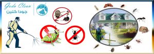 شركة مكافحة حشرات بالدمام0535647158 جودا كلين افضل شركات مكافحة الحشرات بالرياض بالقصيم بالخبر بالباحة برماح بحفر الباطن بسكاكا بشمال الرياض بغرب الرياض بحوطة بنى تميم بحوطة سدير بالرس بخميس مشيط
