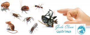 مكافحة حشرات جودا كلين 0535647158 افضل شركات مكافحة الحشرات بالدمام بالقصيم بالخرج بوادى الدواسر بحوطة بنى تميم بحوطة سدير بالرس بالباحة بخميس مشيط بابها
